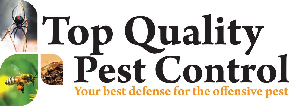 Pest Control Sydney | Top Quality Pest Control